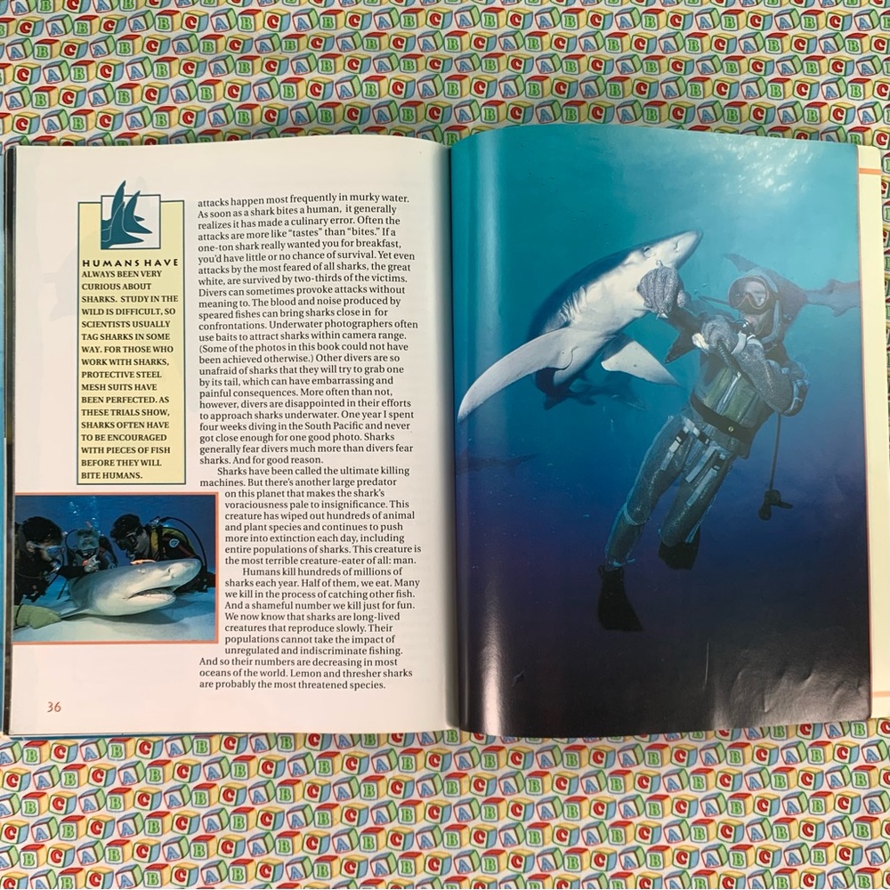 Sharks Learning Book Set for Kids. - Picture 15 of 16
